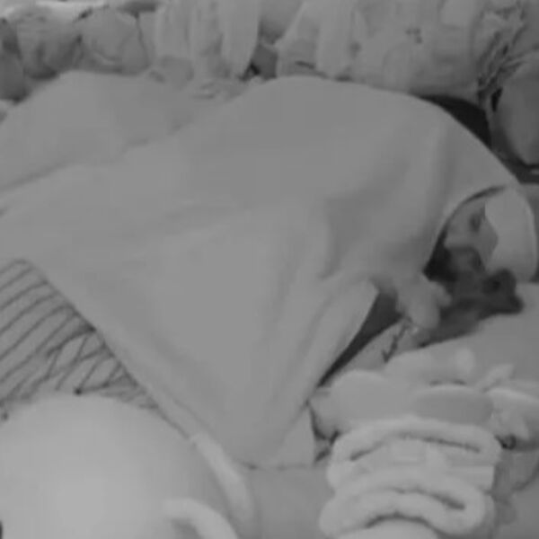 NI KAMERA NI LJUDI IM NISU SMETALI KAD SU SE VAĆARILI! Srbi šokirani snimcima bez CENZURE - SVE PUCALO u krevetu