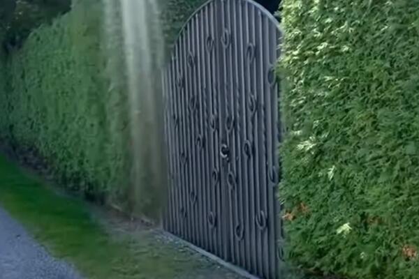 "ISKOMPLEKSIRANI JADNICI": Novosađanin objasnio Srbima kako bogataši žive u švajcarskom selu (VIDEO)