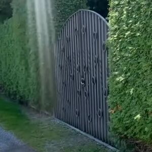 "ISKOMPLEKSIRANI JADNICI": Novosađanin objasnio Srbima kako bogataši žive u švajcarskom selu (VIDEO)