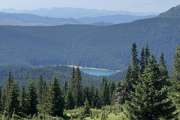 Milorad objavio da poklanja imanje u srcu Durmitora! Tamo je 15.000 kvadratnih metara, ima samo jedan uslov