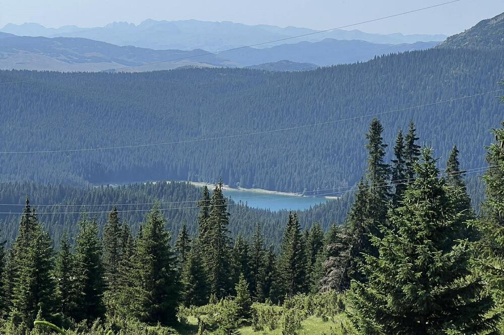 Milorad objavio da poklanja imanje u srcu Durmitora! Tamo je 15.000 kvadratnih metara, ima samo jedan uslov