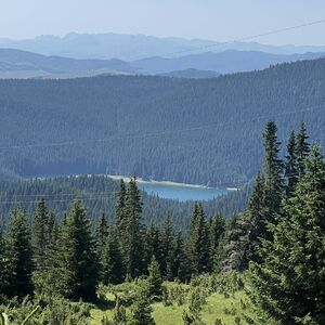 Milorad objavio da poklanja imanje u srcu Durmitora! Tamo je 15.000 kvadratnih metara, ima samo jedan uslov