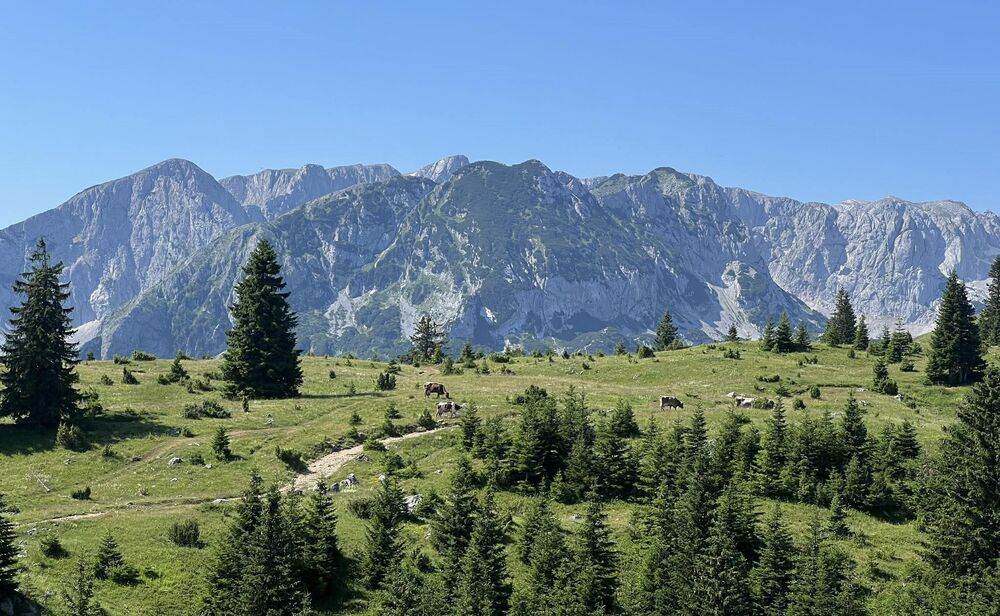 Milorad poklanja imanje na Durmitoru