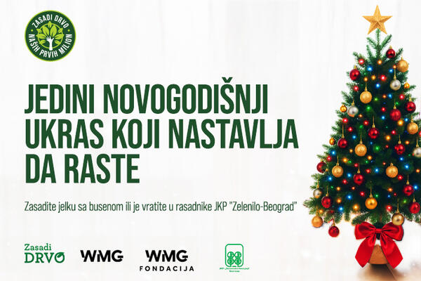 JEDINI NOVOGODIŠNJI UKRAS KOJI NASTAVLJA DA RASTE