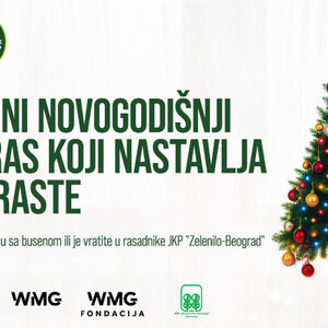 JEDINI NOVOGODIŠNJI UKRAS KOJI NASTAVLJA DA RASTE