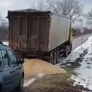 PROSULO SE ŽITO IZ KAMIONA NA PUTU: Nesvakidašnji incident na deonici kod Vršca (VIDEO)