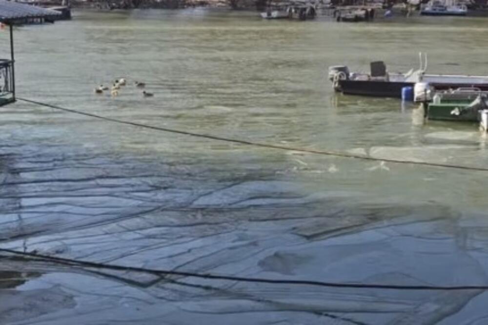 AKO SKAČETE U TAMIŠ PO ČASNI KRST, OBRATITE PAŽNJU! Snimak ledi krv u žilama: "Nikad tako nije bilo" (VIDEO)