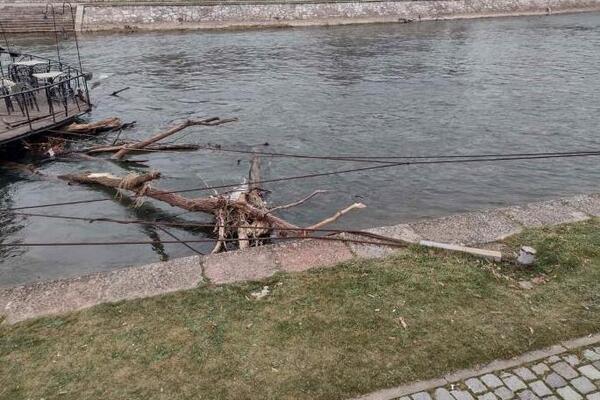 Detalji horora u Nišu: Telo muškarca plutalo Nišavom, zaustavile ga grane u reci (VIDEO)