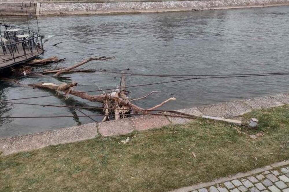 Detalji horora u Nišu: Telo muškarca plutalo Nišavom, zaustavile ga grane u reci (VIDEO)