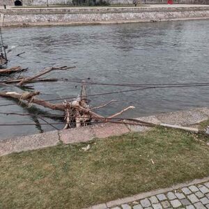 Detalji horora u Nišu: Telo muškarca plutalo Nišavom, zaustavile ga grane u reci (VIDEO)