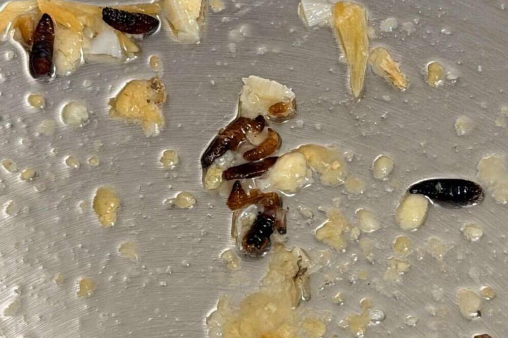 DALA SILNE PARE NA SKUPOCENI BAKALAR, PA OSTALA U ŠOKU KAD JE OTVORILA PAKOVANJE! Nije za one sa slabim stomakom!