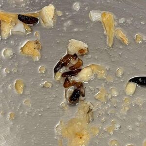 DALA SILNE PARE NA SKUPOCENI BAKALAR, PA OSTALA U ŠOKU KAD JE OTVORILA PAKOVANJE! Nije za one sa slabim stomakom!