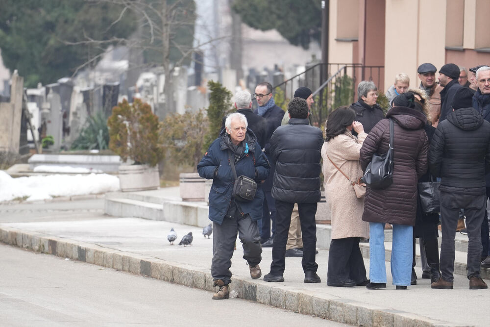 Miroslav Mika Aleksić