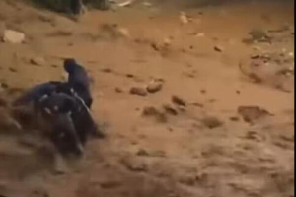 Ženu nosi bujica usled jake oluje u Grčkoj! Strašni snimci se šire mrežama, muškarci rizikovali živote da je izvuku