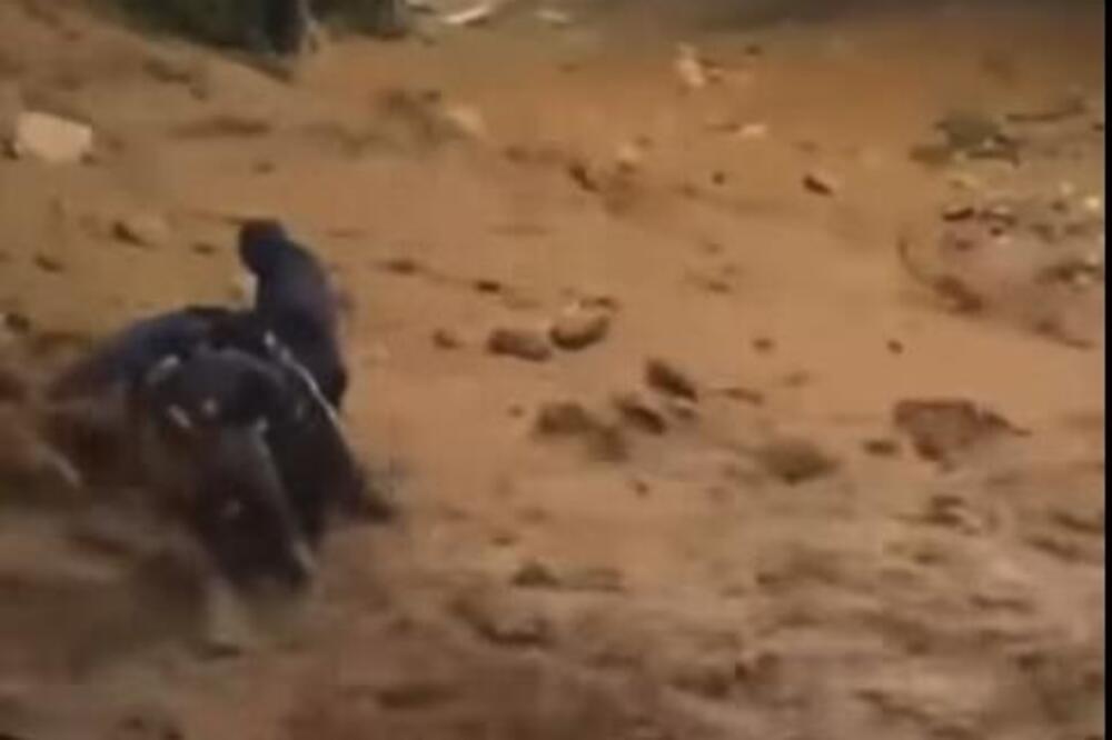 Ženu nosi bujica usled jake oluje u Grčkoj! Strašni snimci se šire mrežama, muškarci rizikovali živote da je izvuku