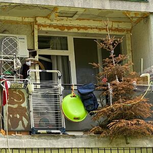 BUVLJA PIJACA NA TERASI: Nema šta nema, fotografija izazvala opšti haos, jedan detalj je PRAVI HIT (FOTO)