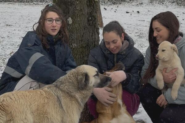 Ove tri heroine godinama dobrovoljno brinu o napuštenim psima: Prisetile se i scene sa poplavom - kapa dole za njih