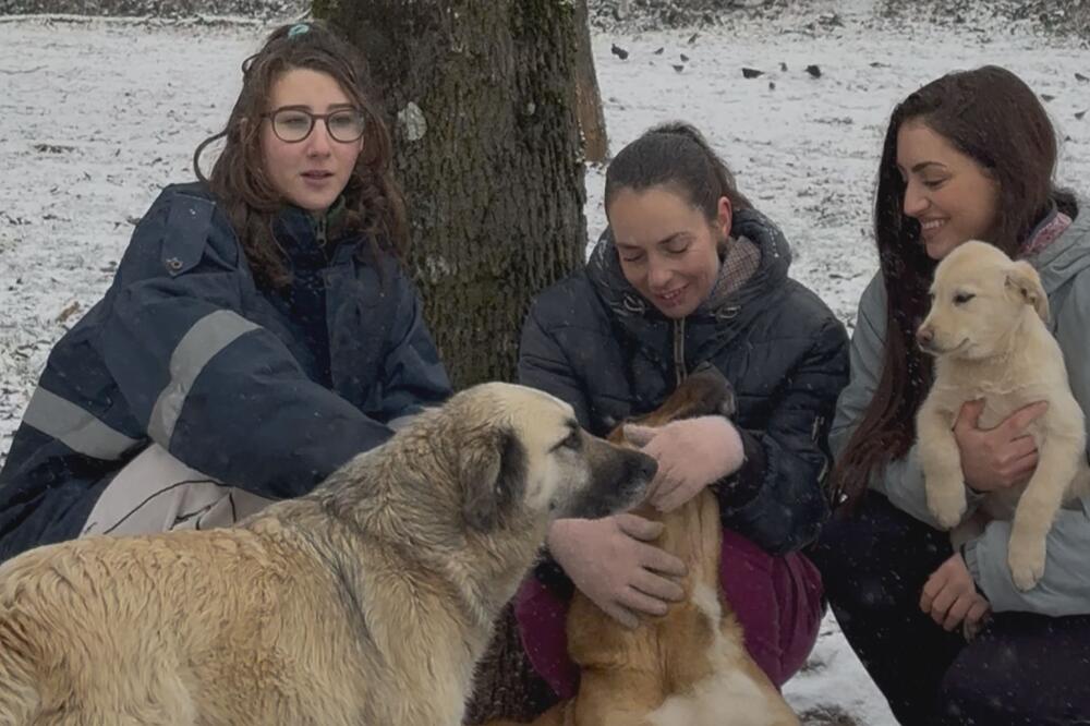 Ove tri heroine godinama dobrovoljno brinu o napuštenim psima: Prisetile se i scene sa poplavom - kapa dole za njih