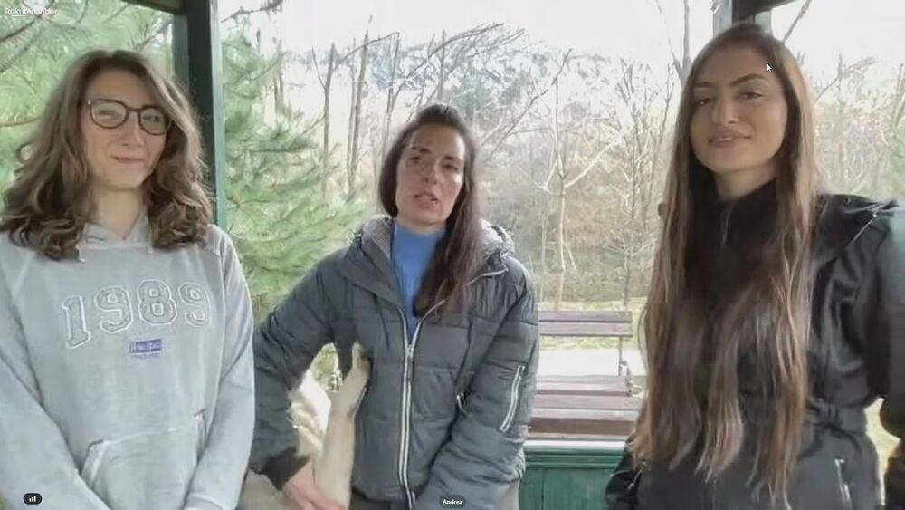 Ovo su tri herione koje godinama dobrovoljno brinu o napuštenim psima 