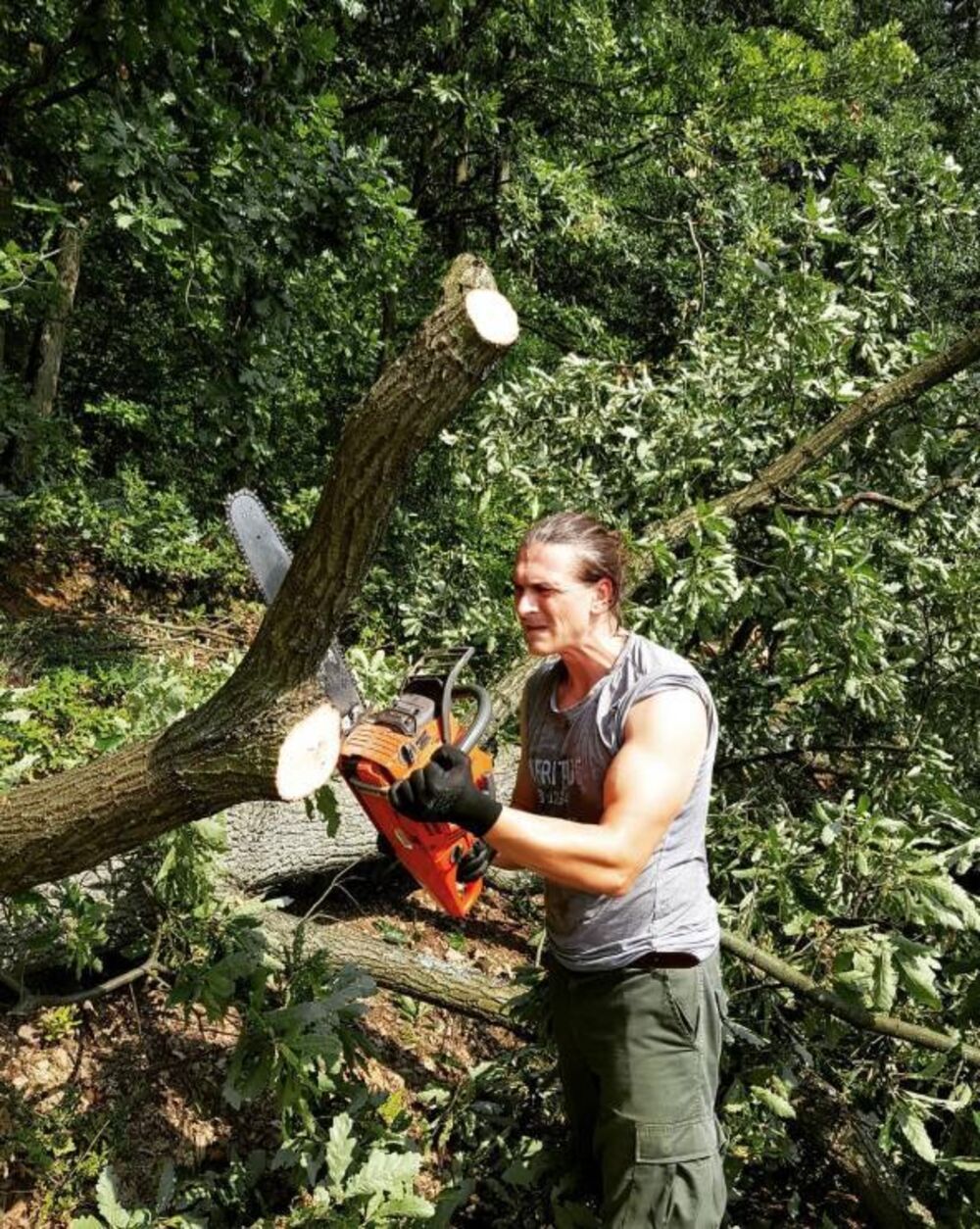 Branislav Tomašević