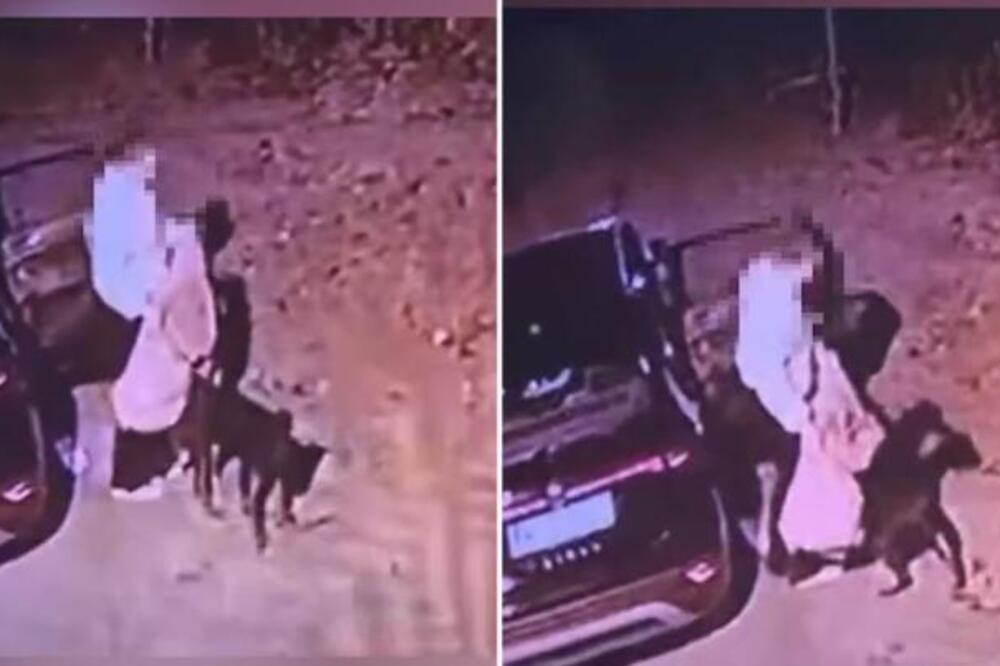 Sramotan snimak iz Beograda zgrozio ceo svet! Ovu ženu traže i Srbija i Austrija, kad čujete razlog zanemećete!