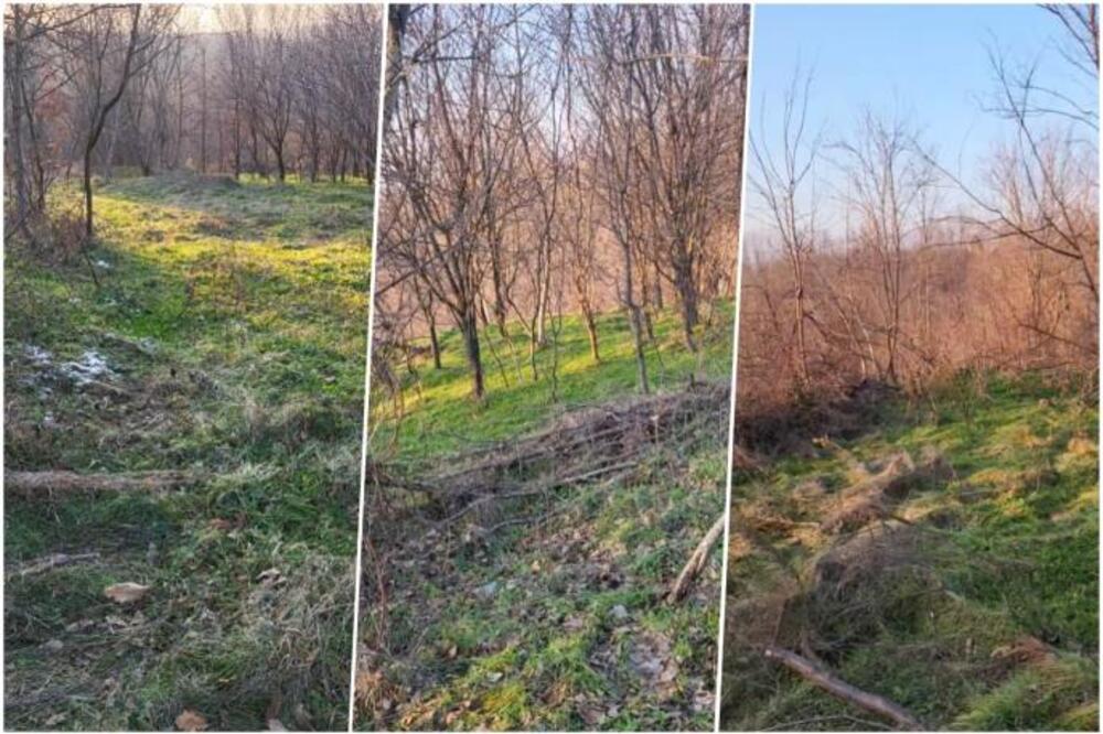 Prodaje se imanje za 4.000 evra: Da, dobro ste pročitali, a postoji jedan veliki uslov