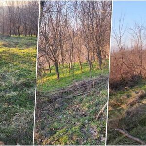 Prodaje se imanje za 4.000 evra: Da, dobro ste pročitali, a postoji jedan veliki uslov