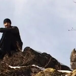 Srpski monah Amvrosije pripitomio vučicu, sa njom i hleb delio: Ljudi se pobunili, ali onda se desilo neočekivano