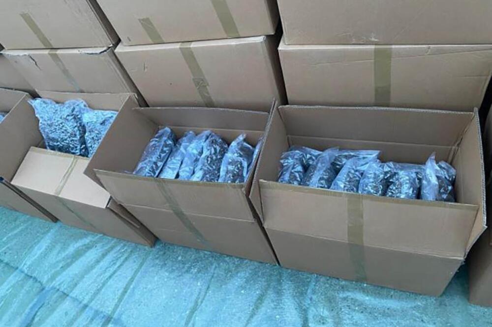 PRVE SLIKE ZAPLENJENIH 5 TONA MARIHUANE U KRUŠEVCU: Vrednost narkotika 10 miliona evra! (FOTO)