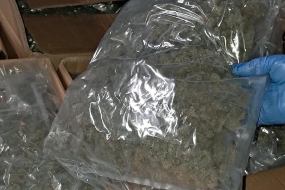 Oglasilo se Tužilaštvo o najvećoj zapleni u istoriji srpske policije: VREDNOST DROGE IZNOSI 50 MILIONA EVRA!