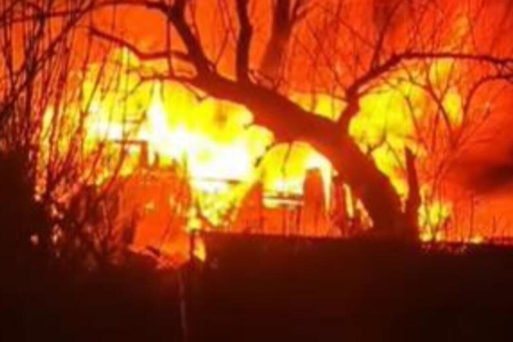 Dramatični snimci velikog požara u Kaluđerici: Gore barake, vatrena stihija guta sve pred sobom (VIDEO)