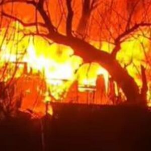 Dramatični snimci velikog požara u Kaluđerici: Gore barake, vatrena stihija guta sve pred sobom (VIDEO)