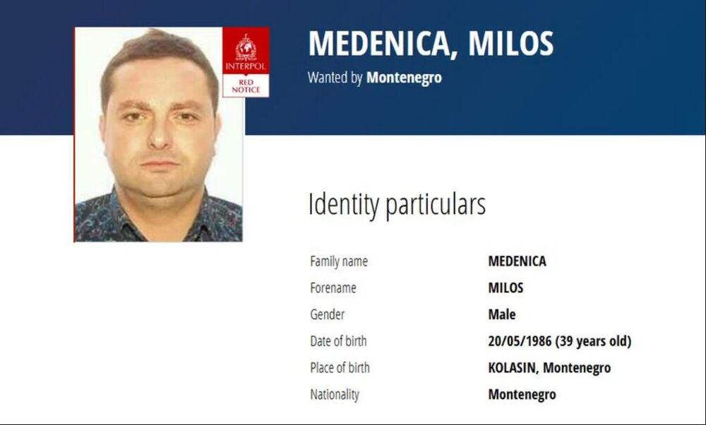 Miloš Medenica