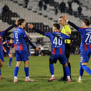 Da li je sudija Milan Mitić oštetio Partizan za penal u protiv Nišlija? (Video)