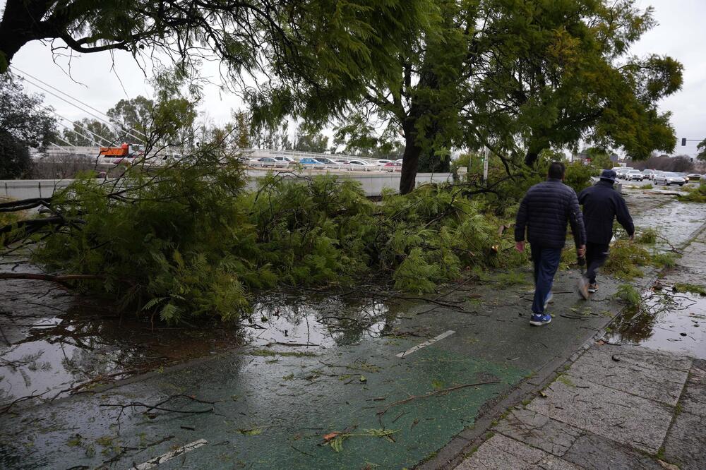 Izbegnuta tragedija u srpskoj tvrđavi: Velika grana pala među posetioce, deca bila u blizini