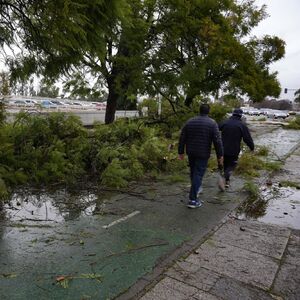 Izbegnuta tragedija u srpskoj tvrđavi: Velika grana pala među posetioce, deca bila u blizini