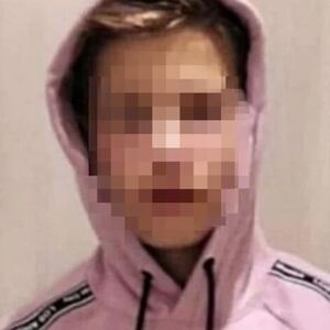 DRAGAN (15) OSTAVIO OPROŠTAJNO PISMO KOJE JE RASPLAKALO I POLICAJCE: Skočio je sa mosta, majka čekala da se pojavi!