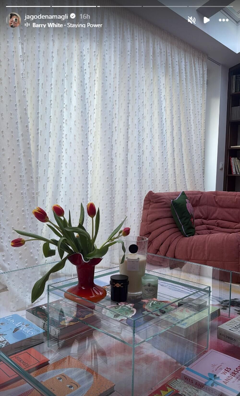 Jelisaveta Orašanin