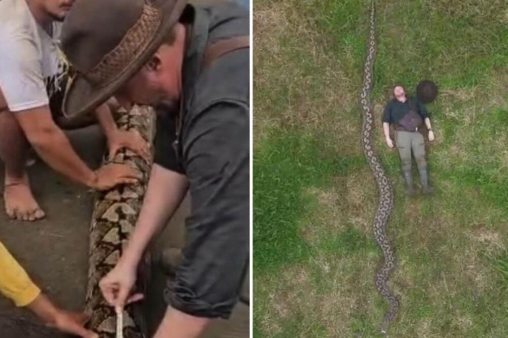 Snimljena je zverina, čoveka može da proguta za svega par minuta: Neman od preko 7 metara ledi krv u žilama