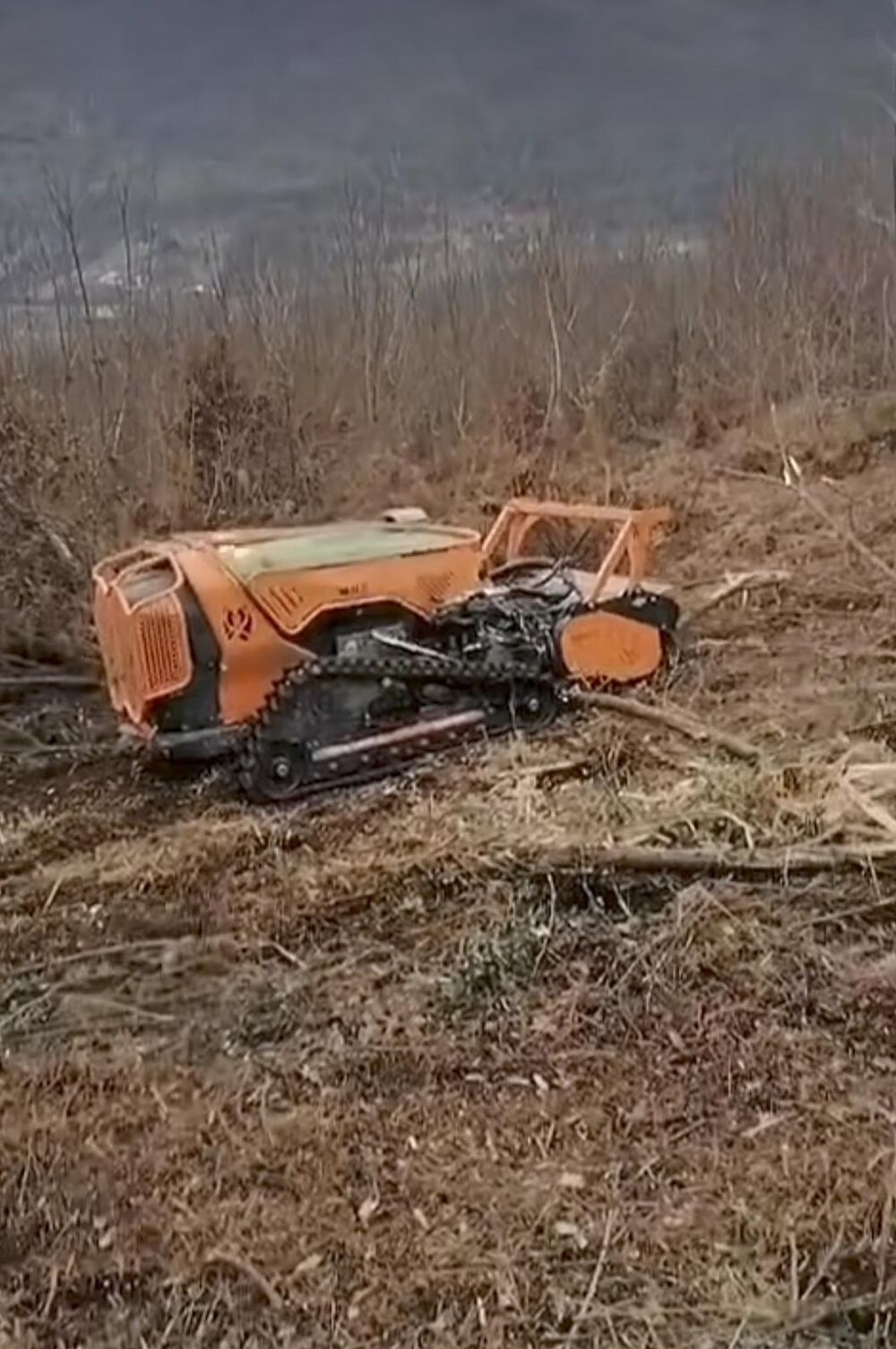 Marija Petronijević