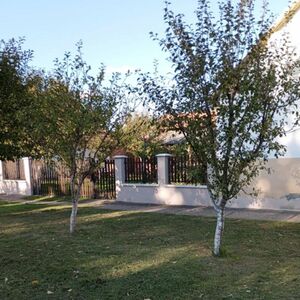 Prelepa kuća sa voćnjakom se prodaje za 35.000 evra: Oglas se masovno širi zbog lokacije iz snova (FOTO)