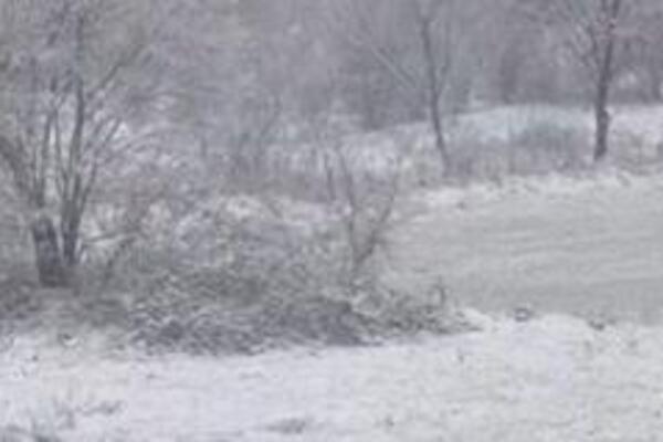 Sneg veje li veje u ovom delu Srbije: Prizor kao iz bajke, prava zimska idila - sve se zabelelo (FOTO)