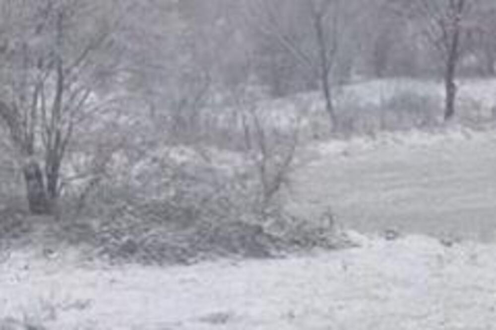 Sneg veje li veje u ovom delu Srbije: Prizor kao iz bajke, prava zimska idila - sve se zabelelo (FOTO)