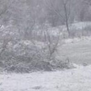 Sneg veje li veje u ovom delu Srbije: Prizor kao iz bajke, prava zimska idila - sve se zabelelo (FOTO)