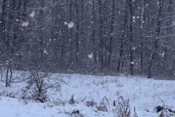 Dok se veći deo Srbije bori sa košavom, u ovom gradu veje sneg! Zimska idila iznenadila i najmlađe (VIDEO)