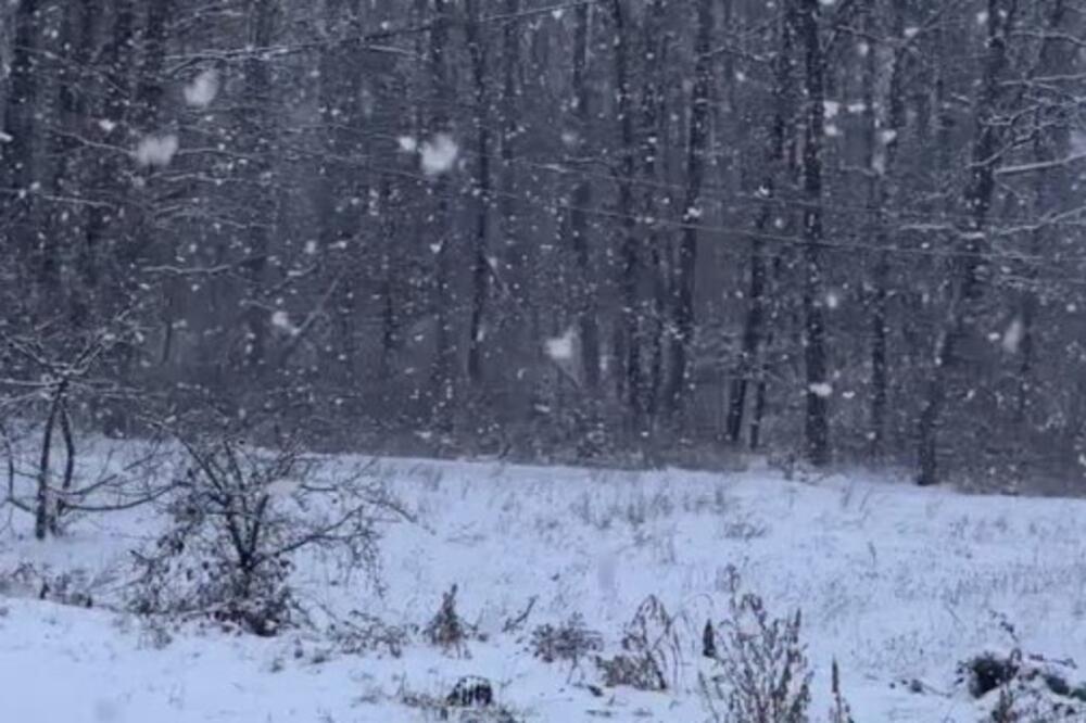 Dok se veći deo Srbije bori sa košavom, u ovom gradu veje sneg! Zimska idila iznenadila i najmlađe (VIDEO)