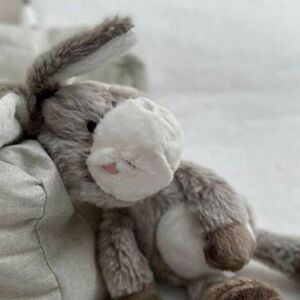 Hitno povučena omiljena igračka mališana! Popularni proizvod sa decu skinut sa rafova