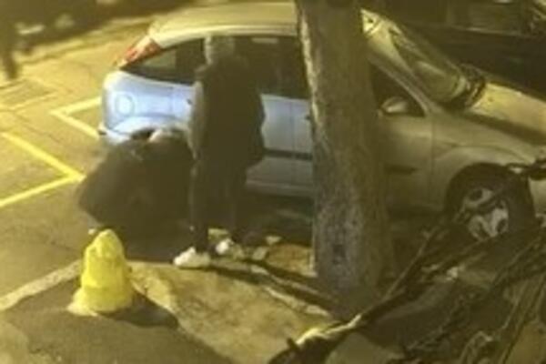 NEĆETE VEROVATI ŠTA RADE OVA 2 RAZBOJNIKA USRED NOĆI KOD BOTANIČKE BAŠTE: Imaćete TRANSFER BLAMA! (VIDEO)