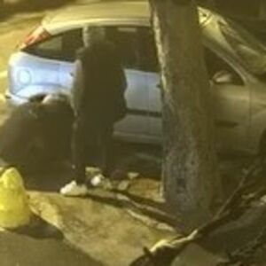 NEĆETE VEROVATI ŠTA RADE OVA 2 RAZBONIKA USRED NOĆI KOD BOTANIČKE BAŠTE: Imaćete TRANSFER BLAMA! (VIDEO)