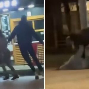 Golman na ulici krvnički udarao nevenčanu suprugu: Snimak nasilja u Kikindi je JEZIV! (VIDEO)
